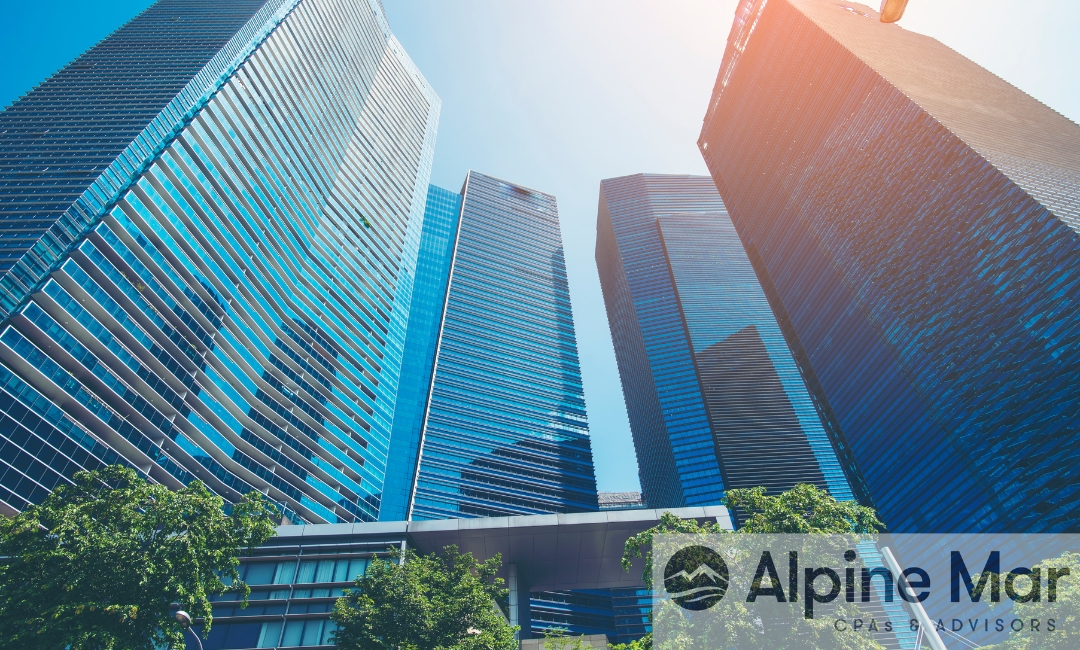 Business Structure for Asset Protection